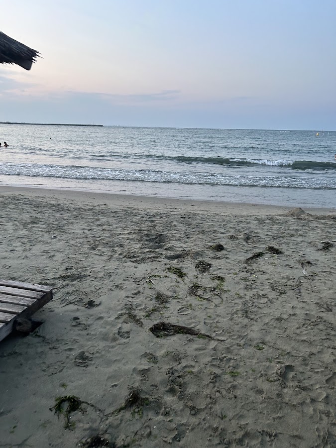 Fotografie de Palomera Beach