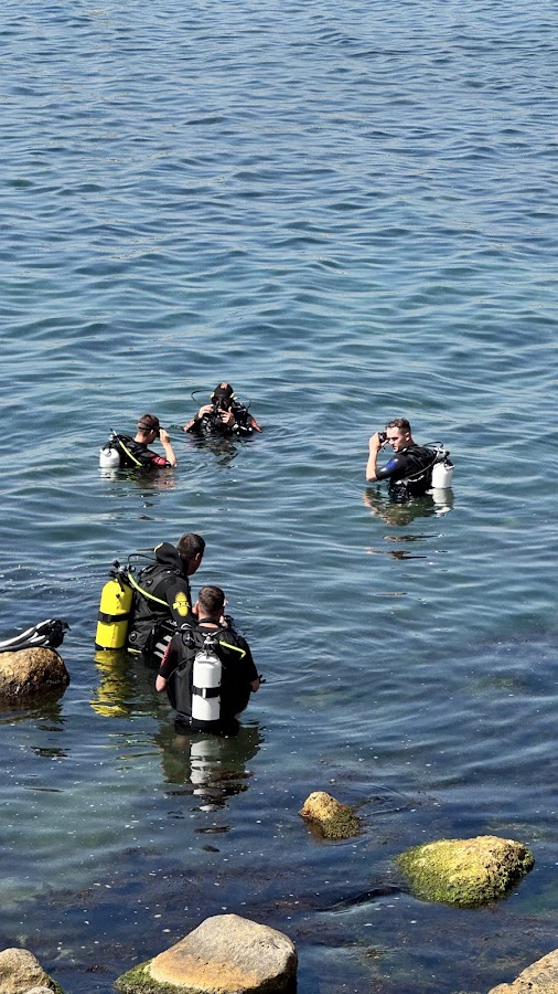 Photo of ALPHAMARIN Dive Center