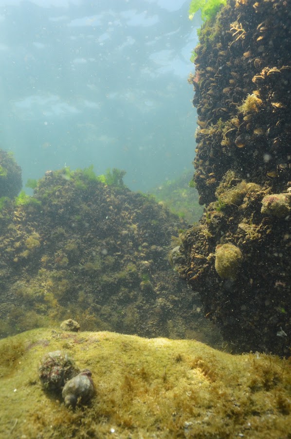 Photo of ALPHAMARIN Dive Center