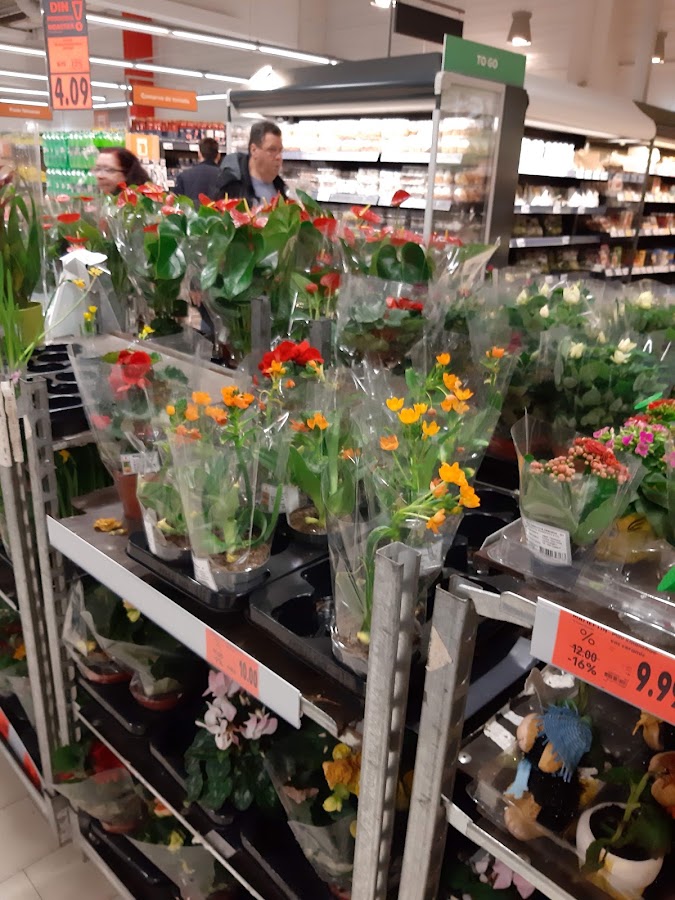 Photo de Kaufland Constanta - ICIL