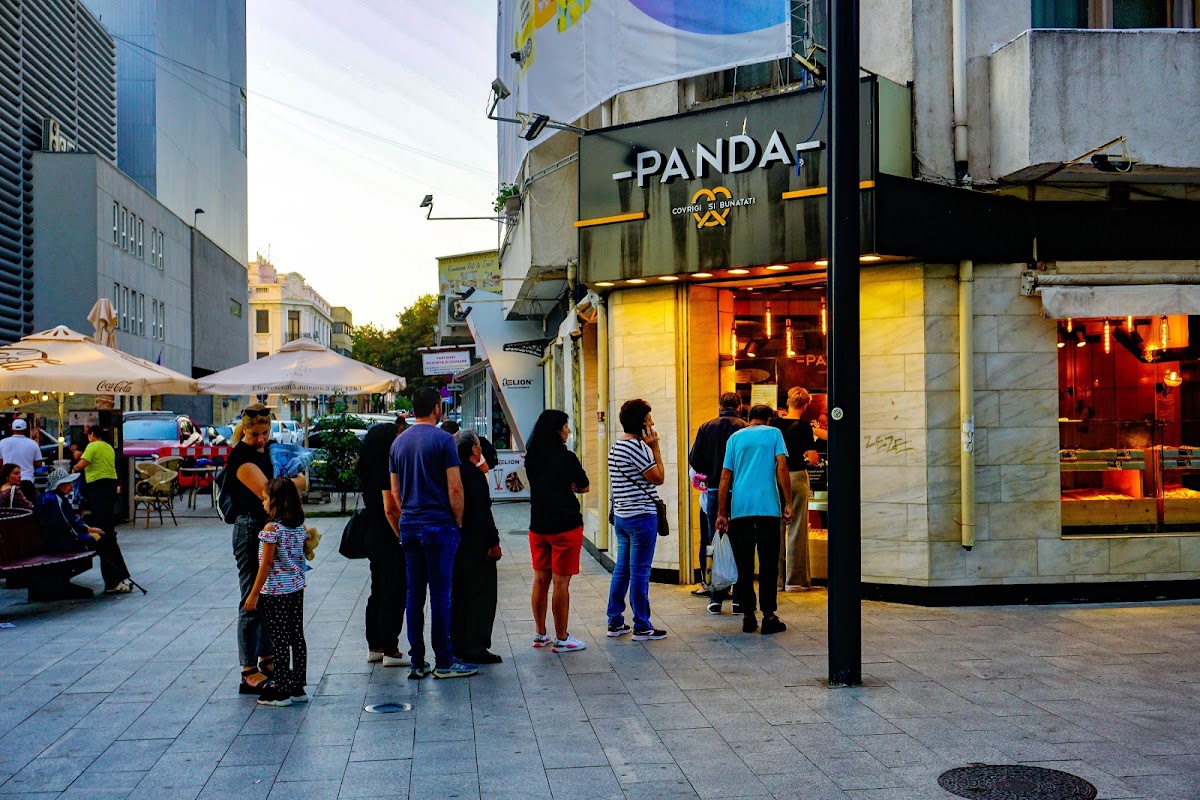 Fotografie de - PANDA -