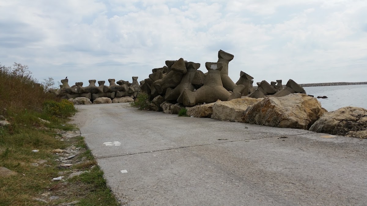 Fotografie de Sc Farmavet Srl