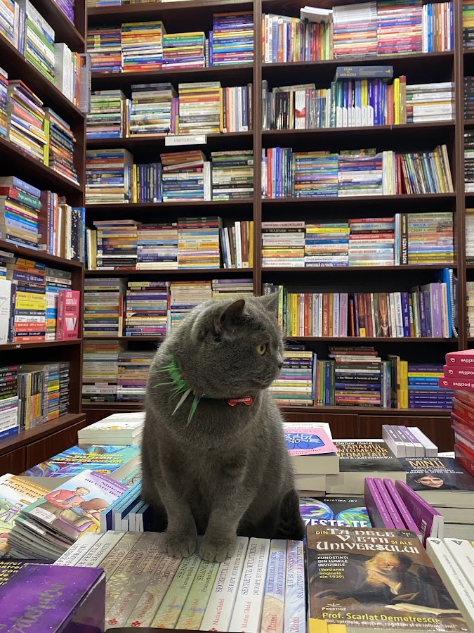Fotografie de Librăria Prăvălia Cu Cărți