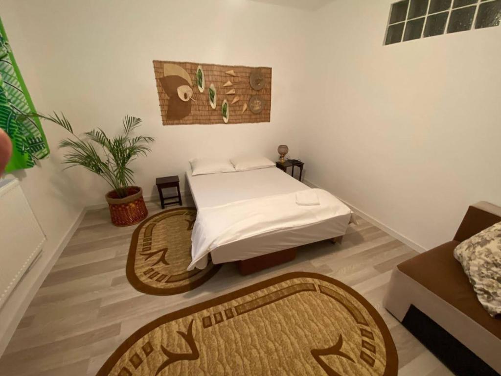 Fotografie de Casa Vily
