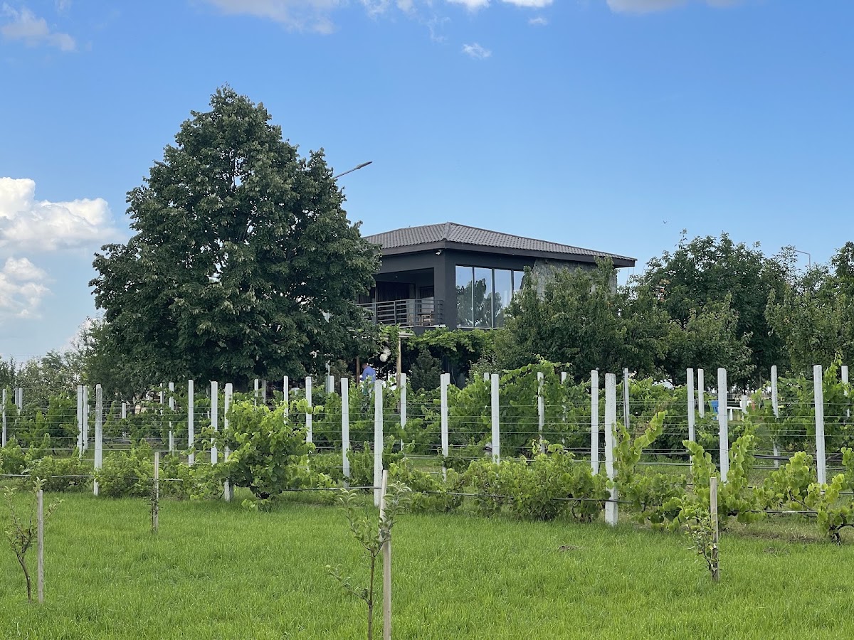 Fotografie de Perryland Urban Farm