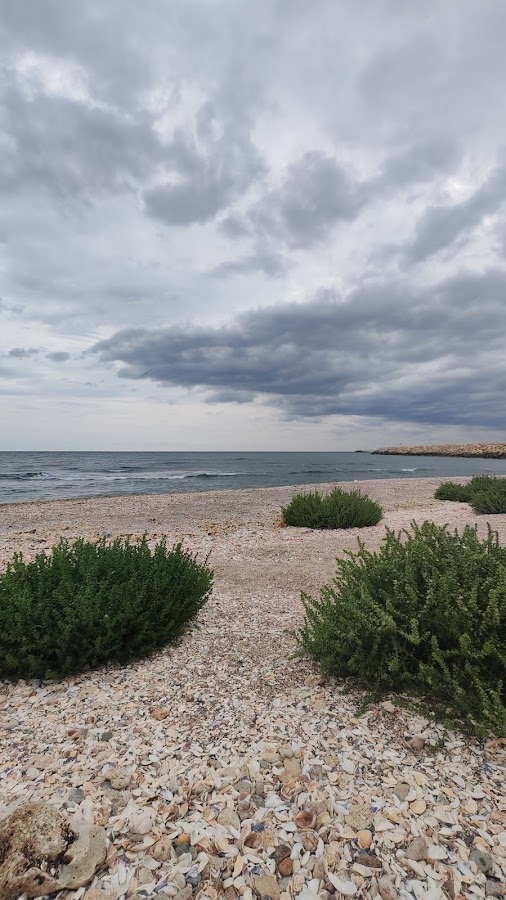 Foto di CasaBlancaOlimp