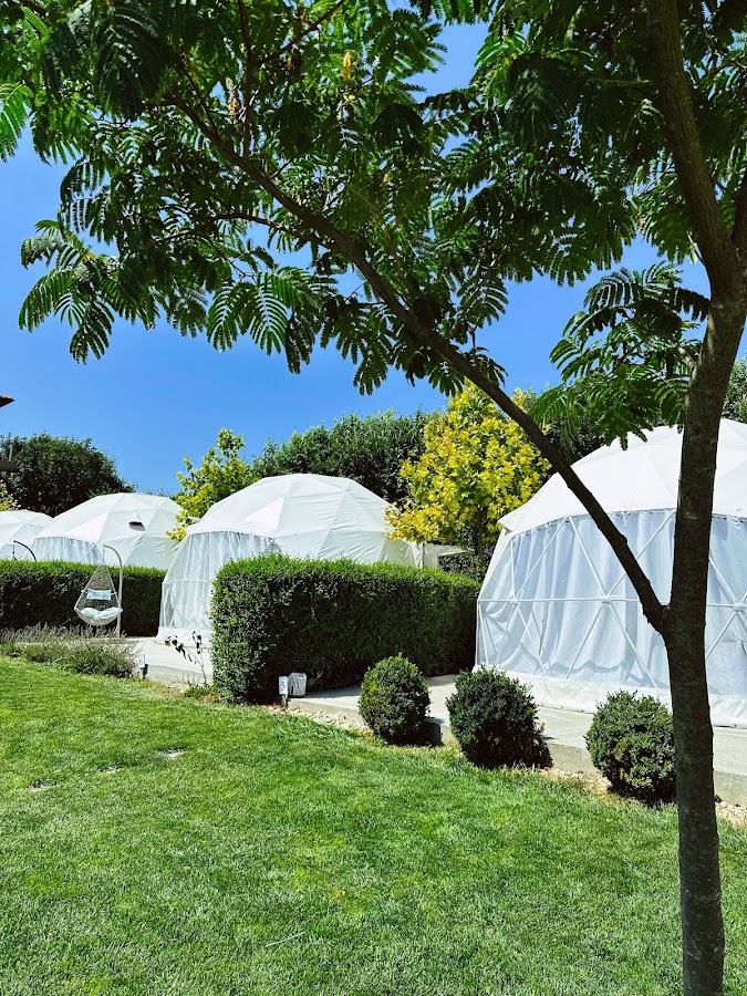 Fotografie de Seagloo Glamping Adults Only