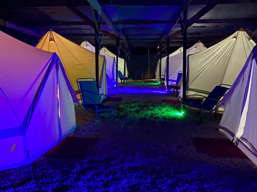 Fotografie de Aurora Glamping Vama Veche