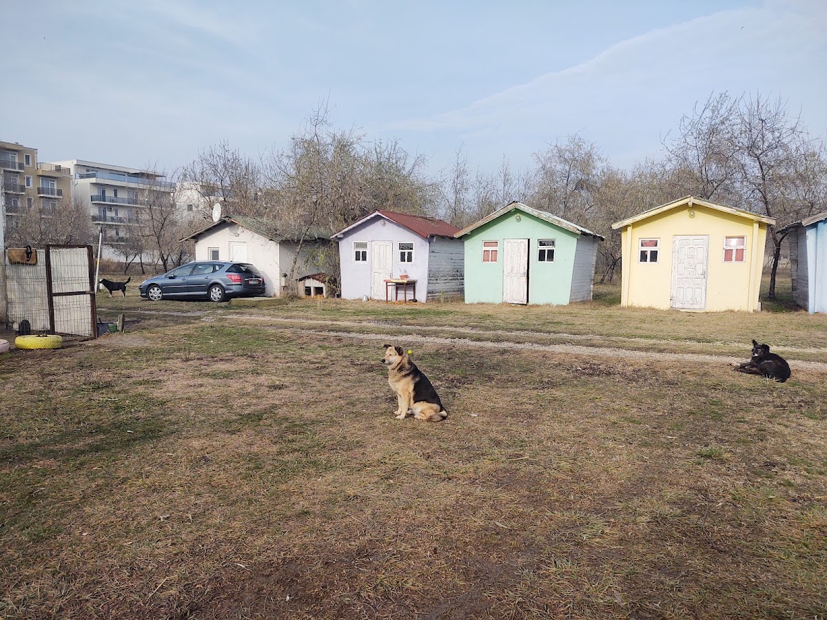 Fotografie de CAMPING ENA