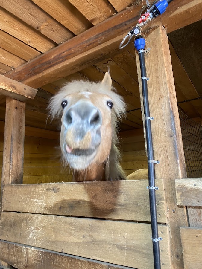 Foto von Equestrian Center Farm House