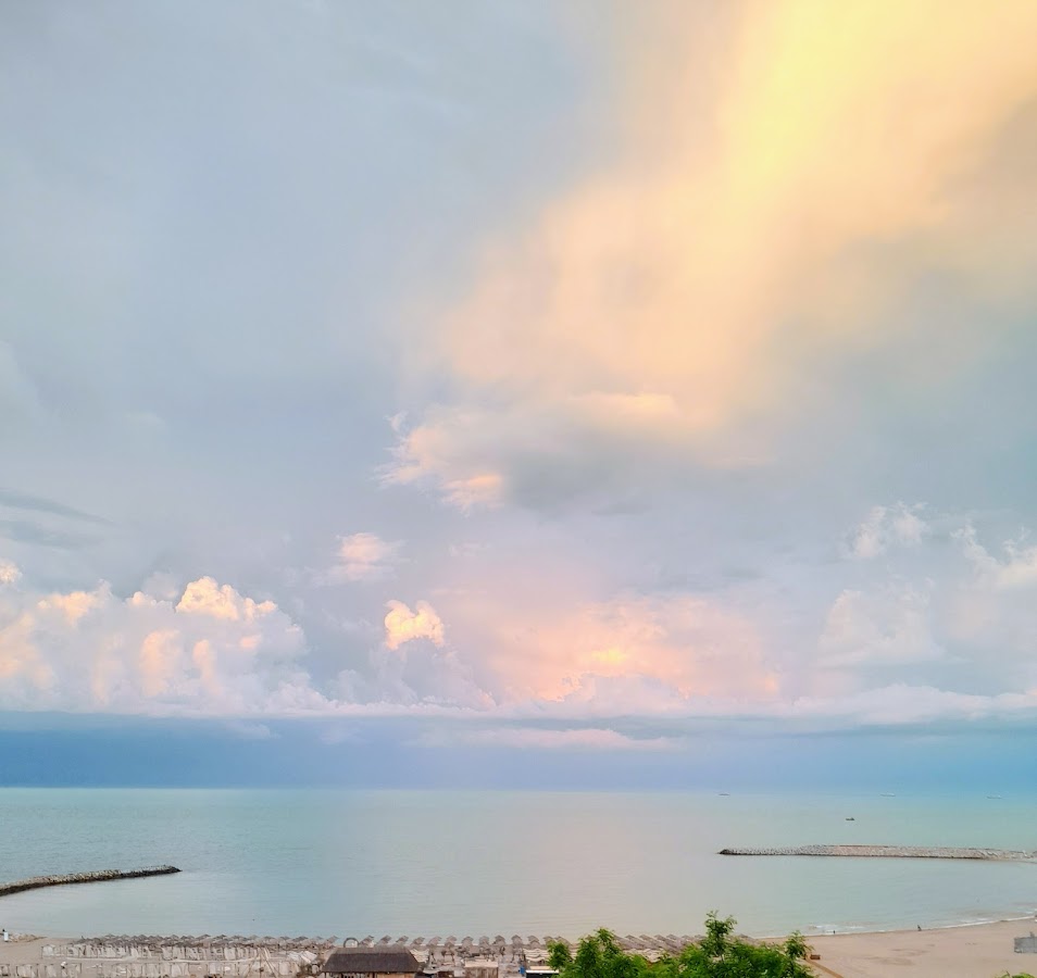 Foto di Zorile