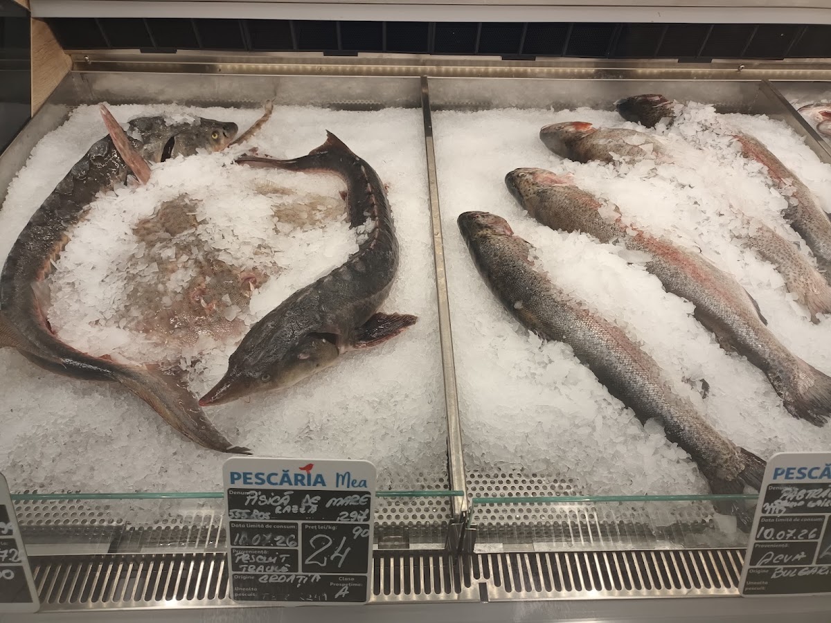 Foto di Auchan Constanta(Vivo)