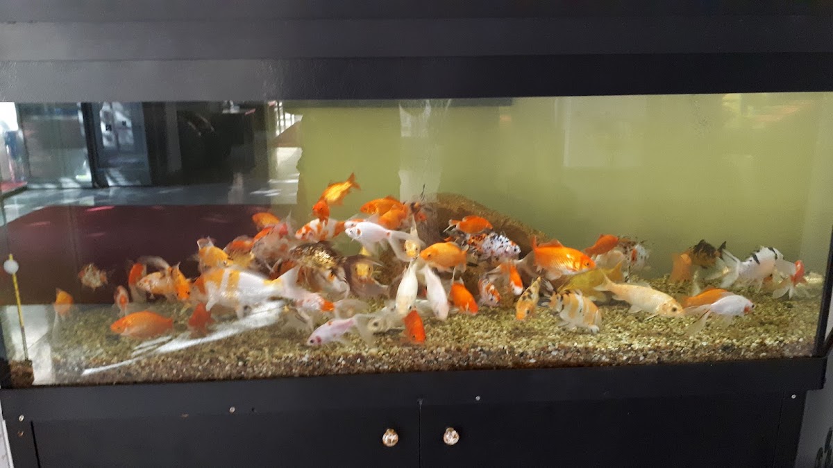 Foto di Hotel MedSpa Siret