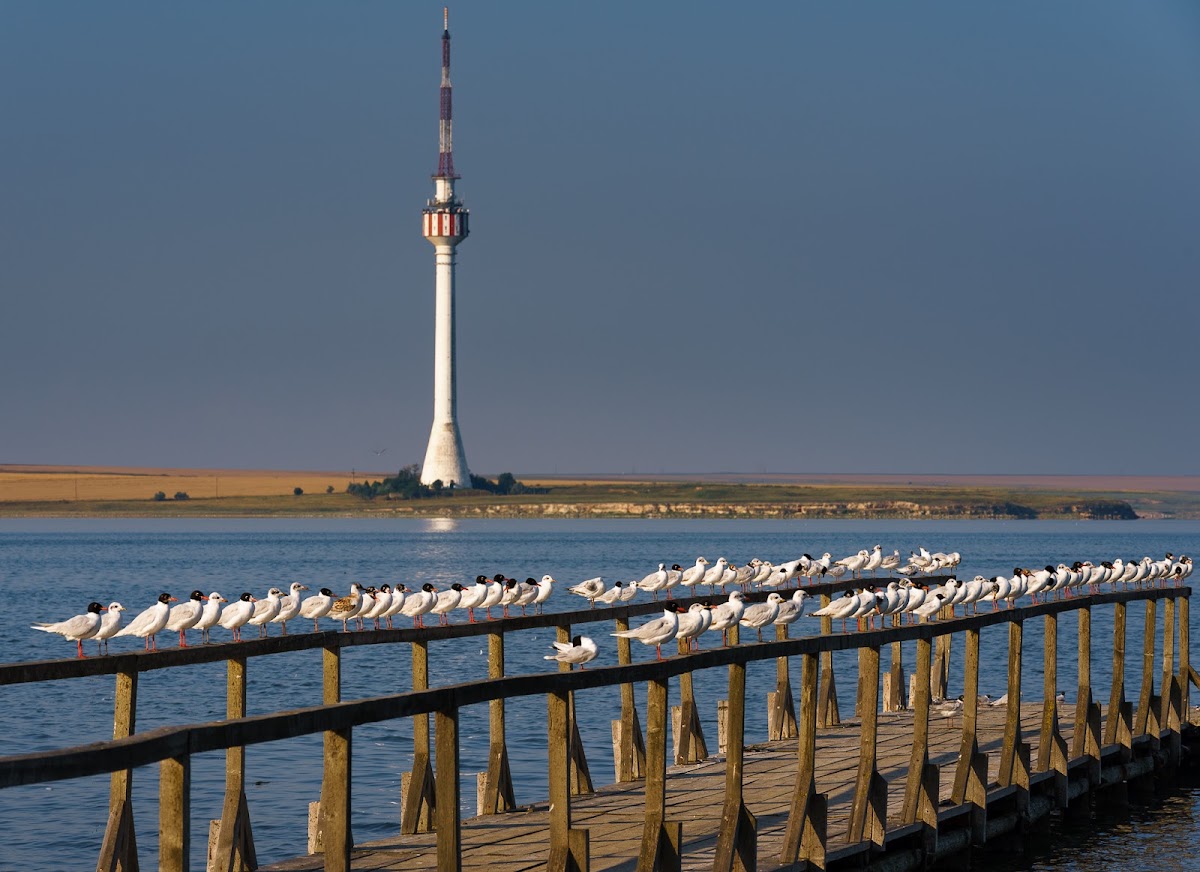 Foto di copertina di Băi nămol - Lac Techirghiol / Eforie Nord