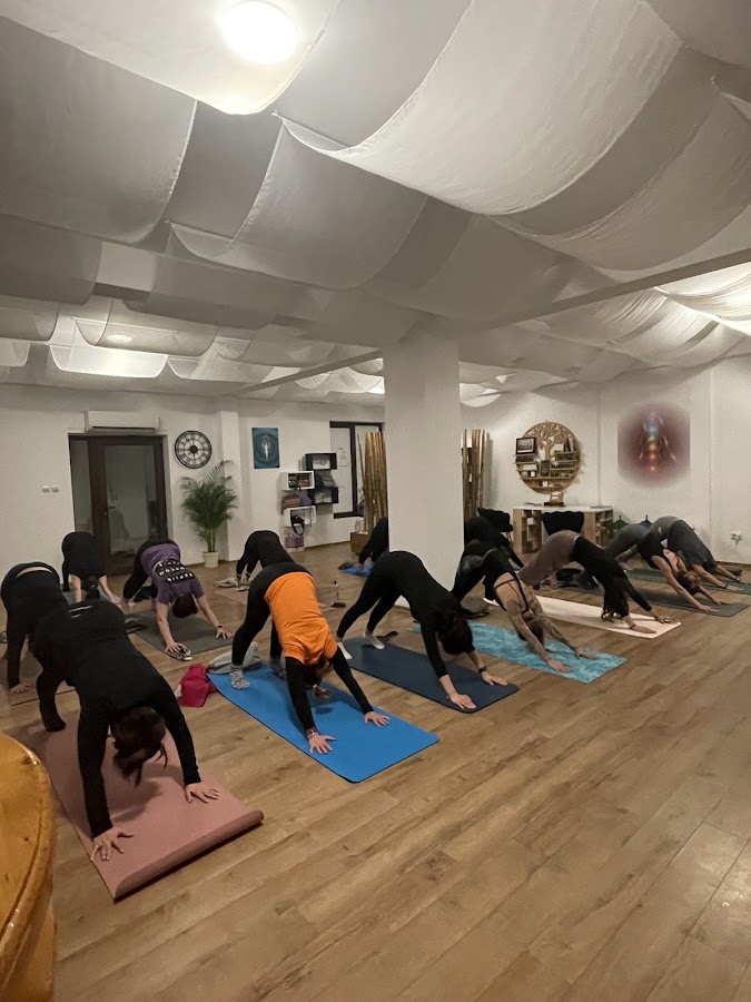 Foto di Yogally - Studio Yoga & Pilates Reformer Constanța