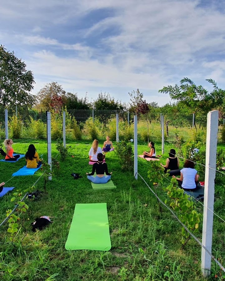 Foto di Yogally - Studio Yoga & Pilates Reformer Constanța