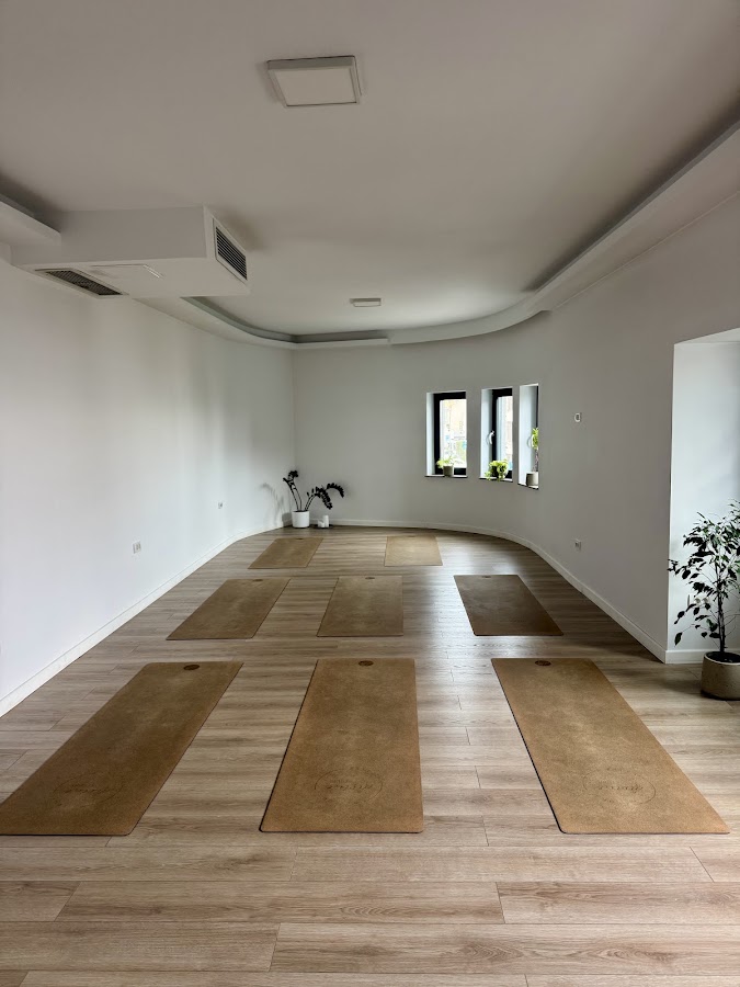 Divine Studio