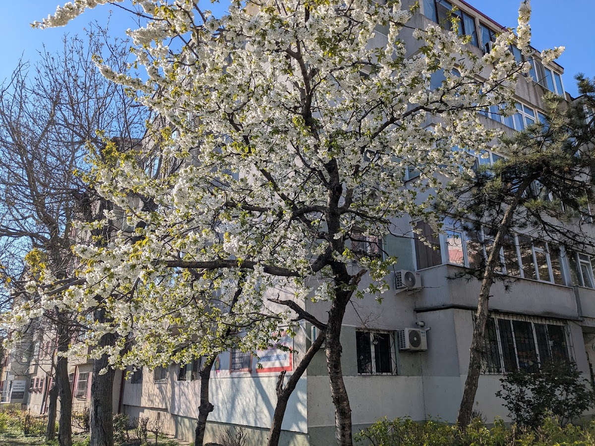 Foto di Centrul de meditatii Smart Constanta