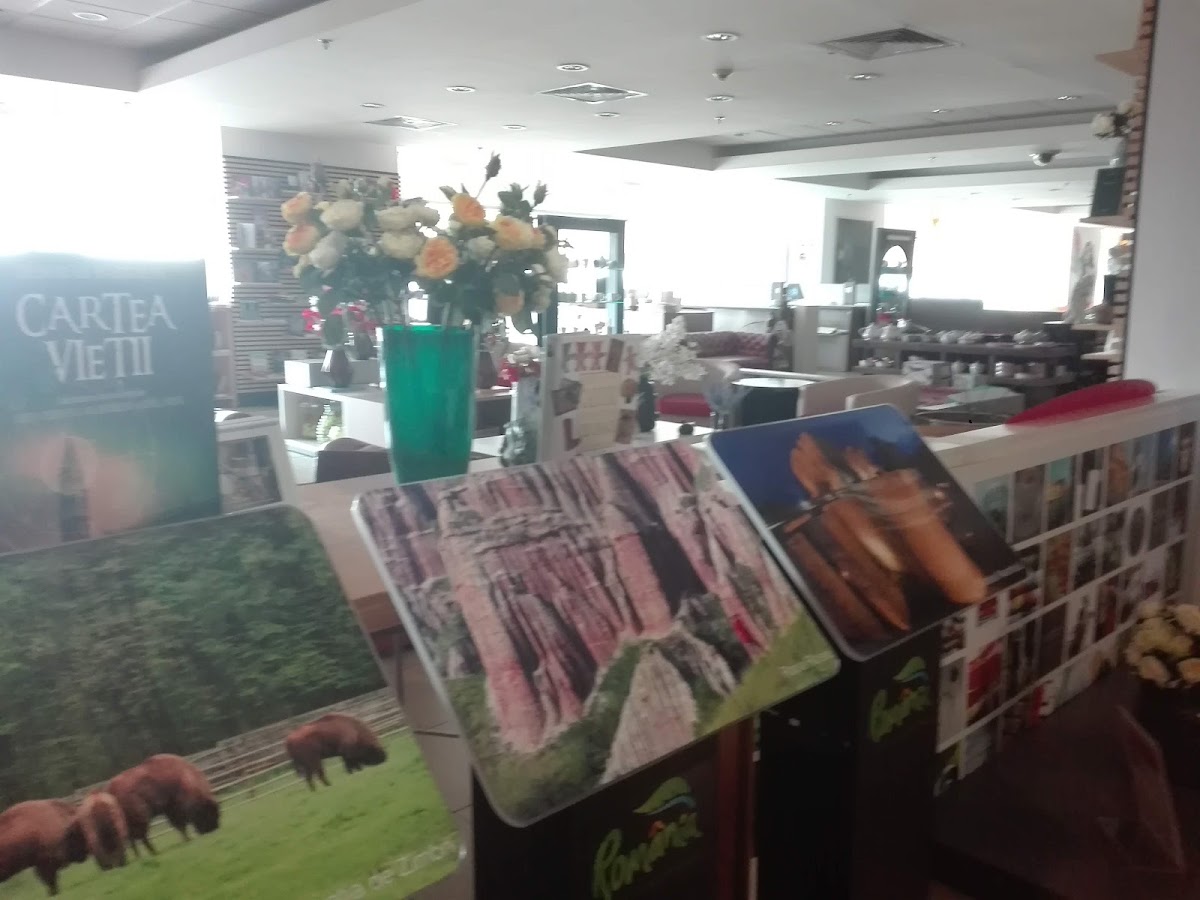 Fotografie de Biblioteca Colorată