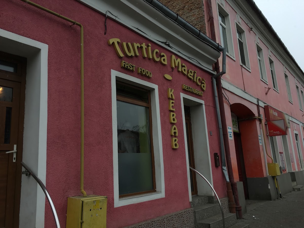Fotografie cu Turtica Magică
