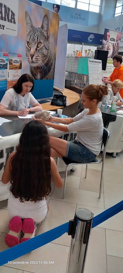 Foto di Minibiblioteca Raftul Verde Vivo Intrarea 3
