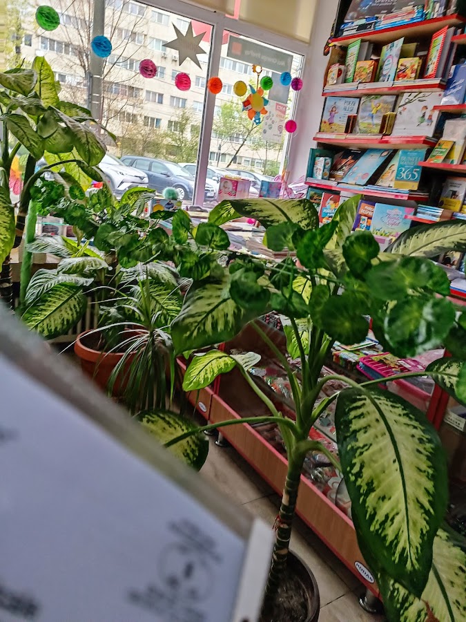 Foto von Librarie