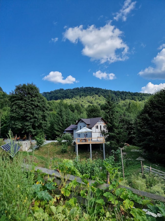 Photo of La Căsuța din Pădure'