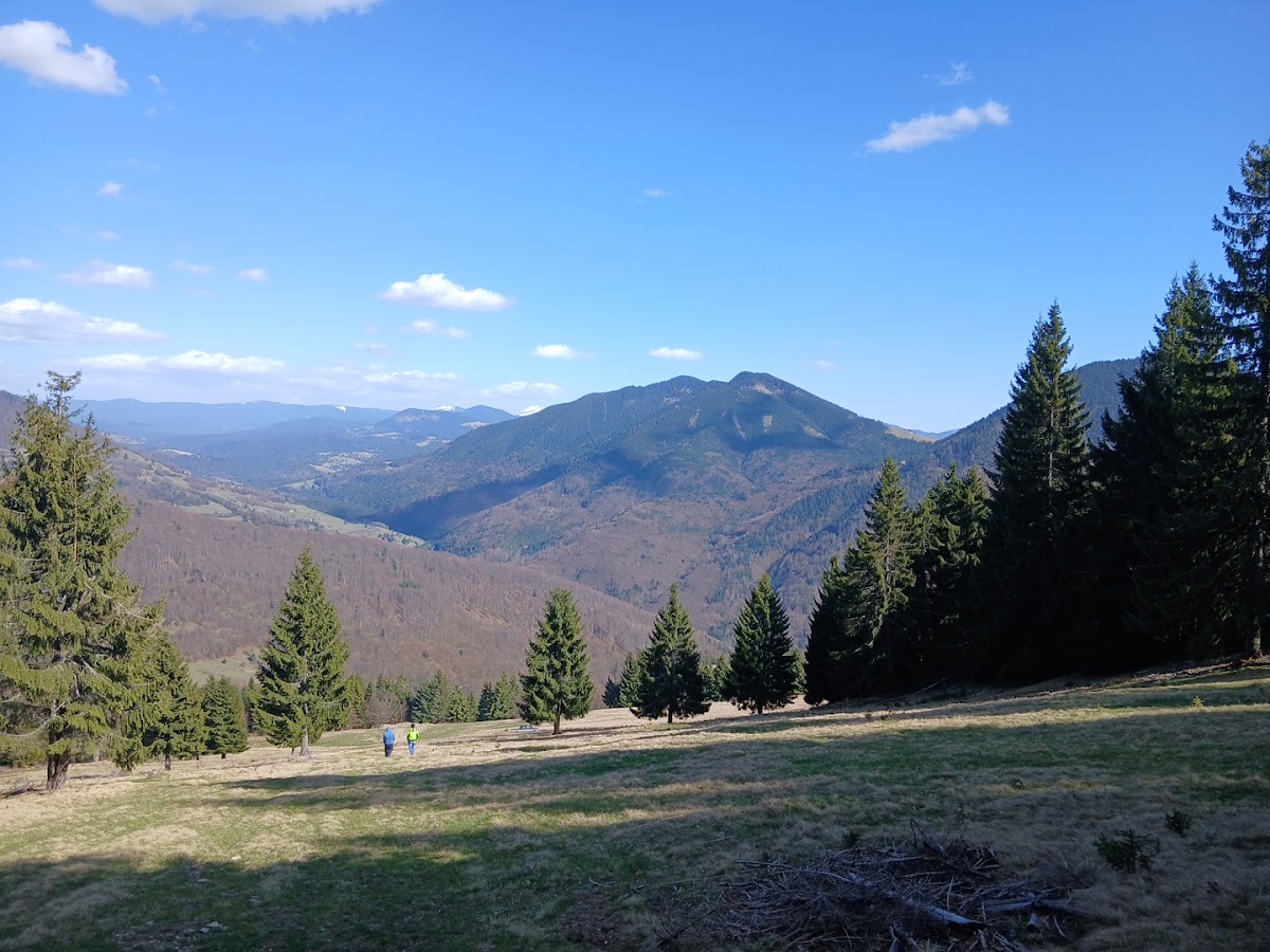 Photo of La Căsuța din Pădure'