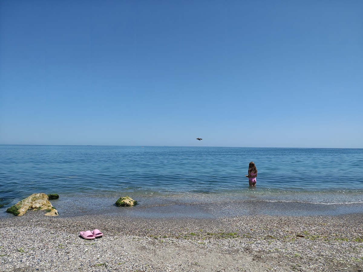 Photo of LA Scoici