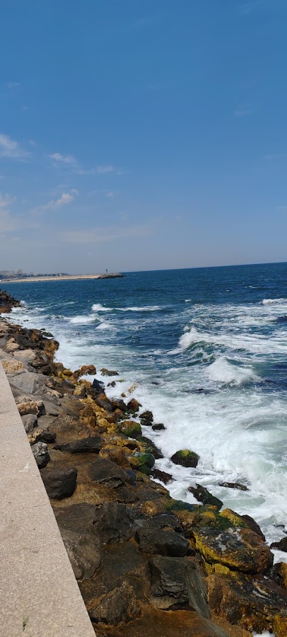 Photo of Portul Tomis