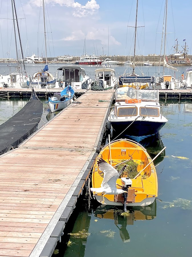 Photo of Portul Tomis