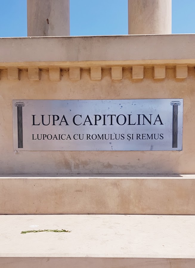 Photo of Lupa Capitolină din Tomis