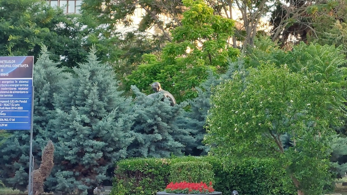 Photo of Căderea de pe soclu (Monumentul revoluției 1989)