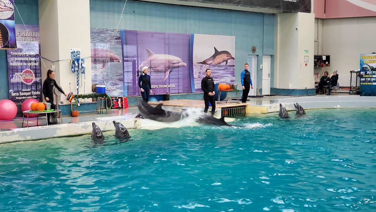 Photo of Parcare Delfinariu