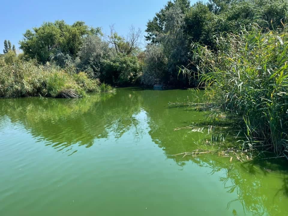 Foto von Parcare Delfinariu