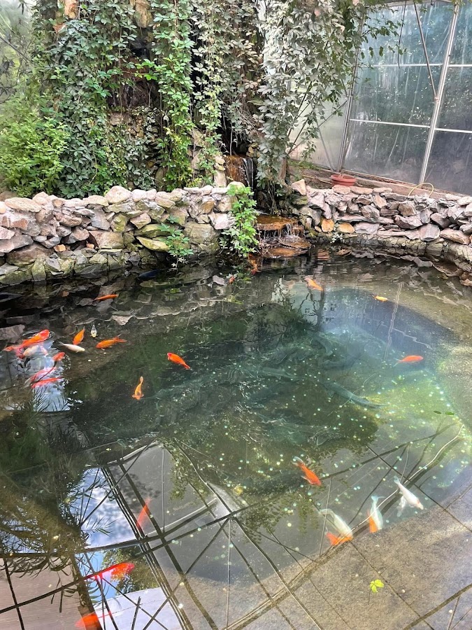 Foto von Parcare Delfinariu