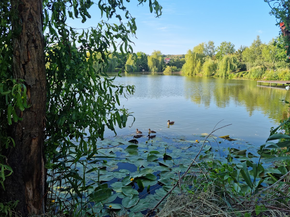 Foto di Pensiunea Hubertus