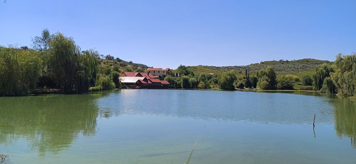 Foto di Pensiunea Hubertus