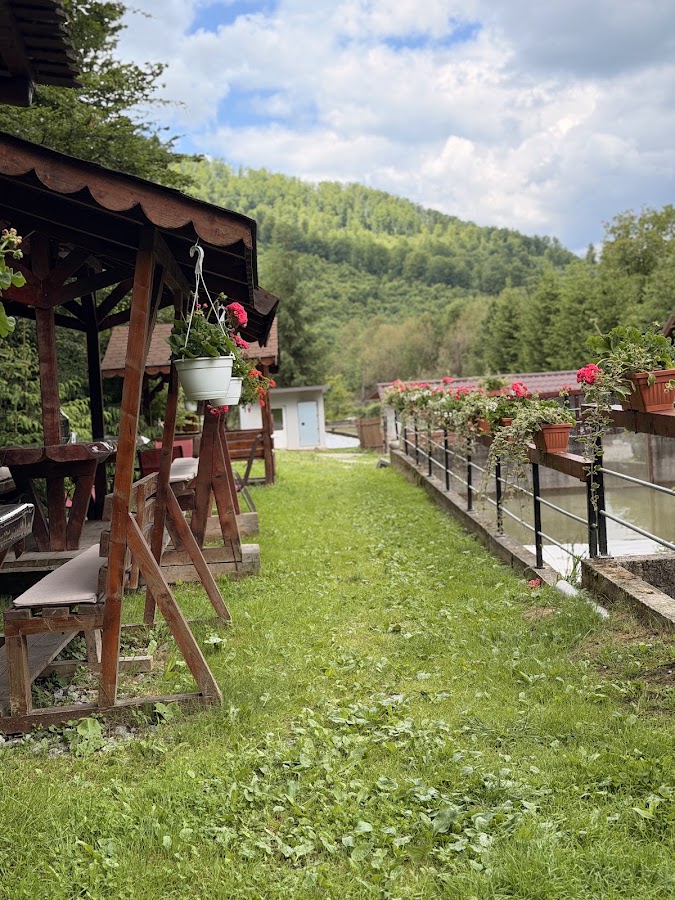 Photo of Păstrăvăria Strâmba (Păstrăv la Grătar)
