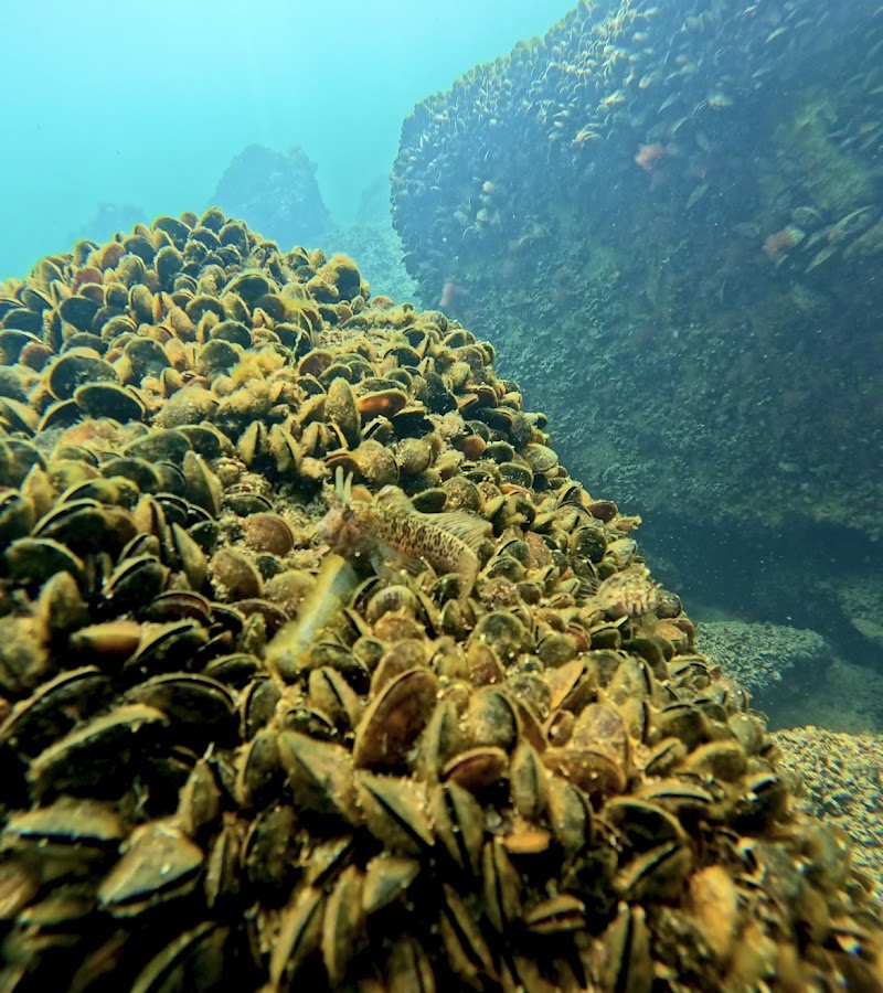 Photo de WEGO Scuba