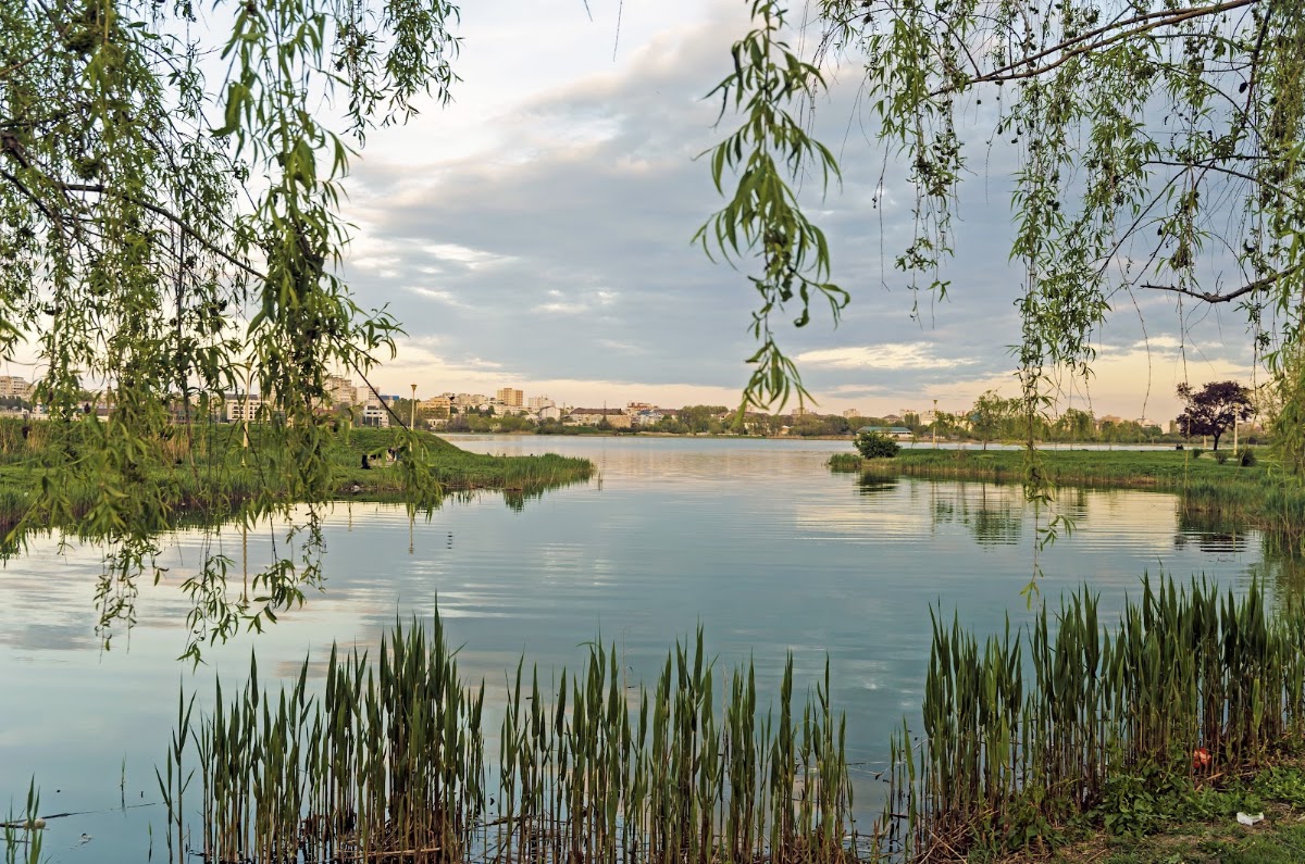 Photo of Parcul Tăbăcăriei