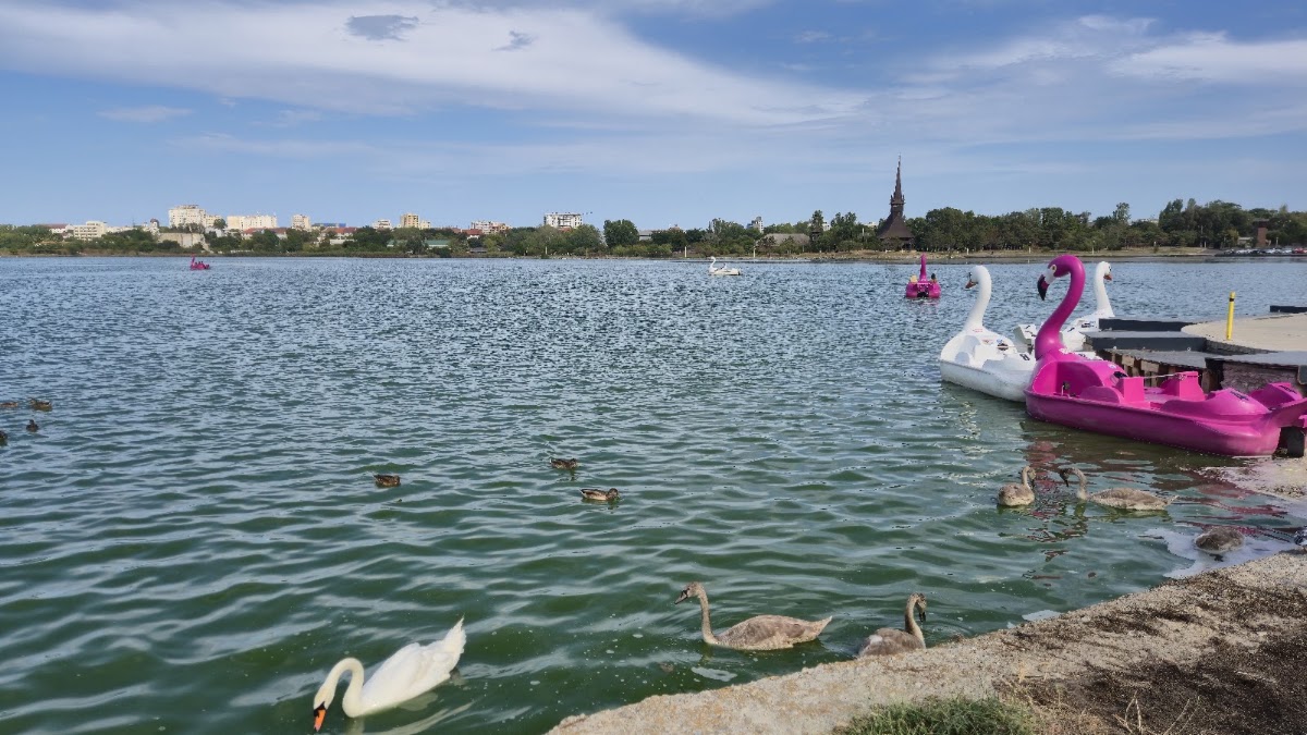 Photo of Parcul Tăbăcăriei