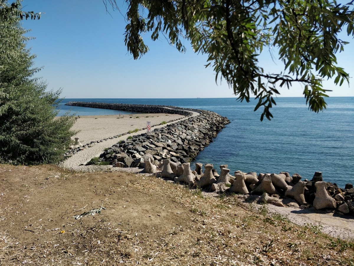 Photo of Rotterdam Park