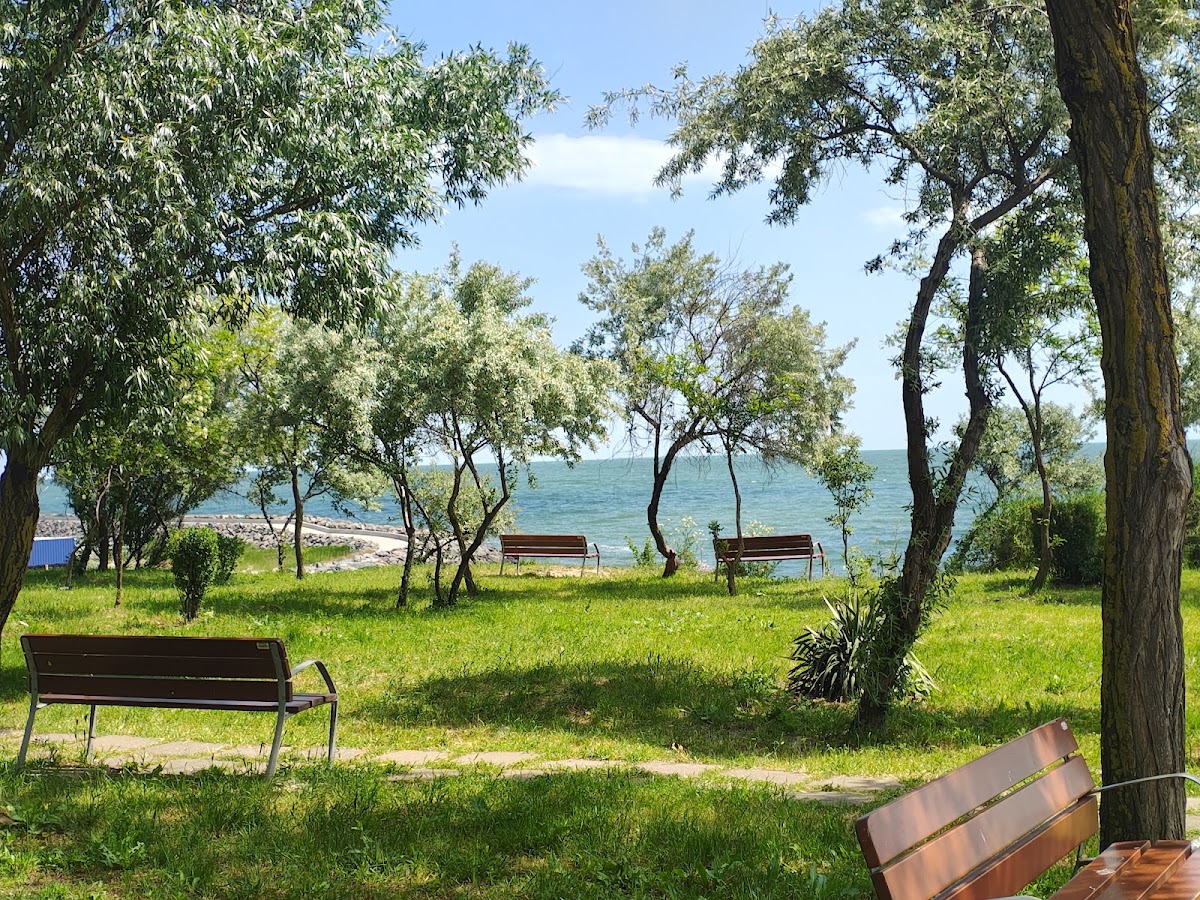 Photo of Rotterdam Park