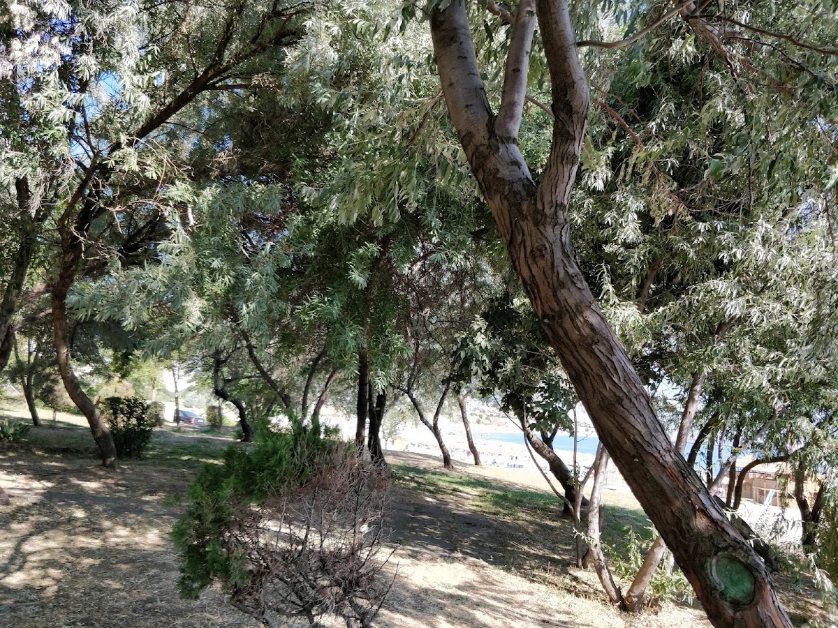 Photo of Rotterdam Park