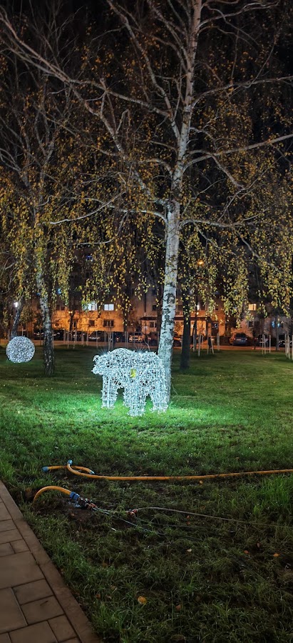 Foto di Parc Poarta 6