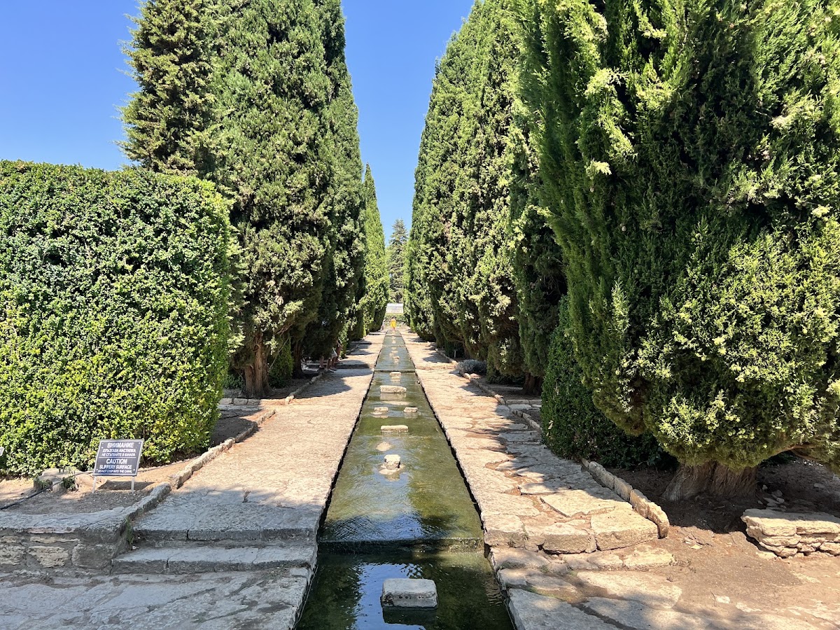 Photo de Grădina botanică