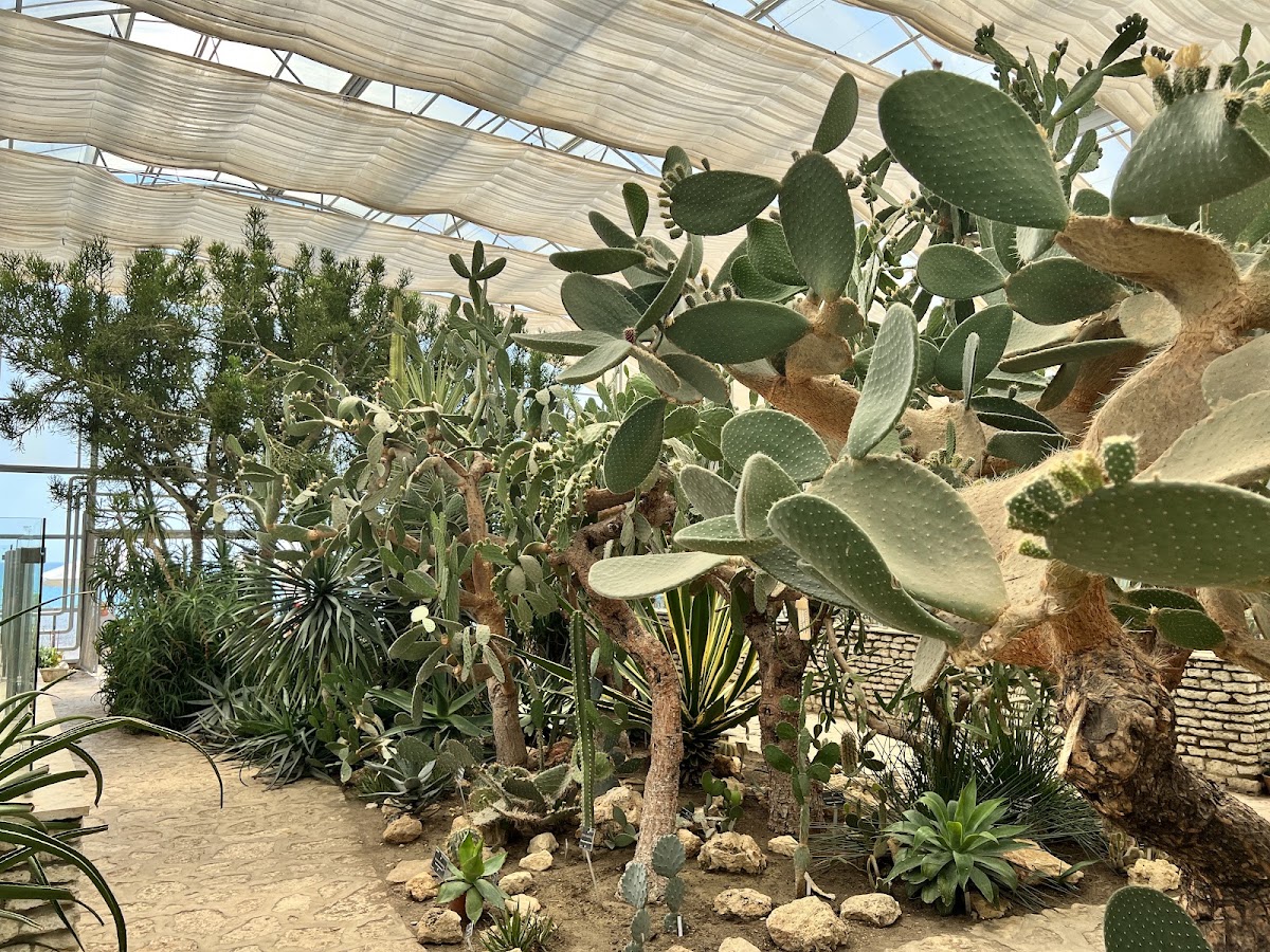Photo de Grădina botanică
