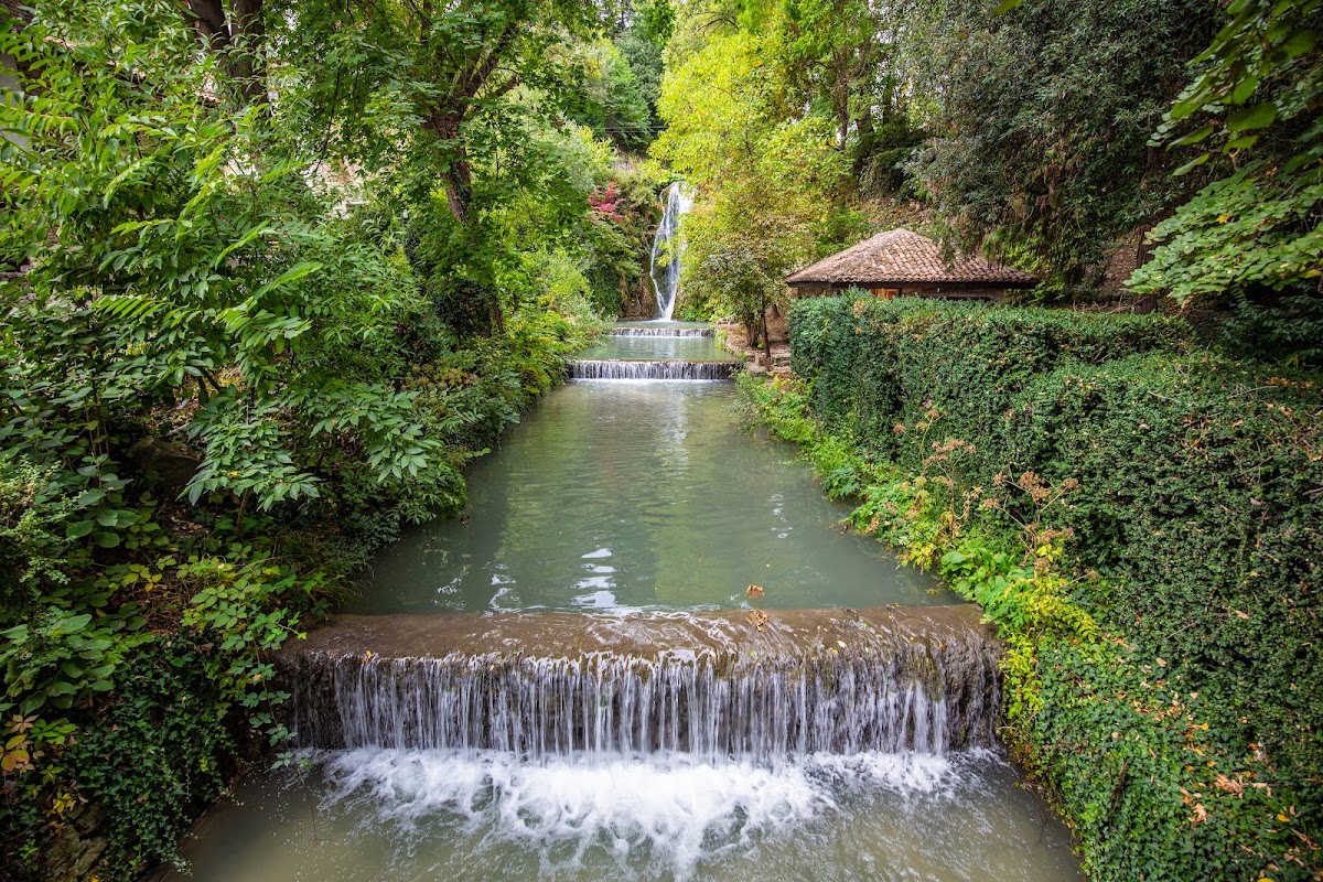 Photo de Grădina botanică