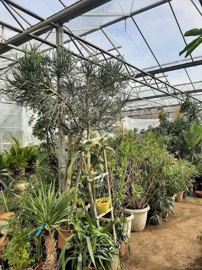 Photo of Garden Shop